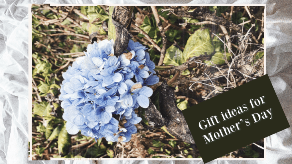 Last Minute Mother’s Day Gift&nbsp;Ideas